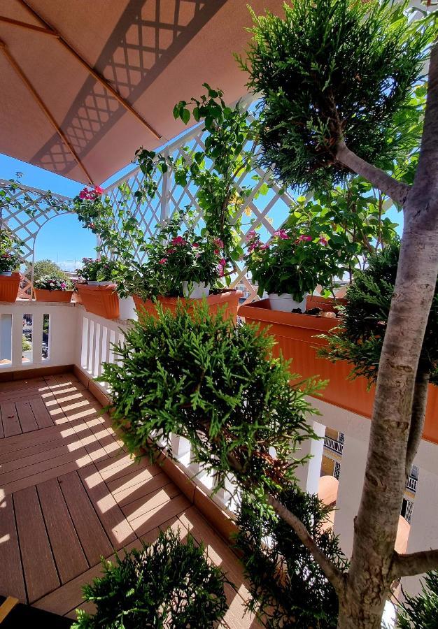Apartment Carpegna 92 Wellness E Rom
