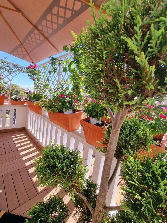 Apartment Carpegna 92 Wellness E Rom